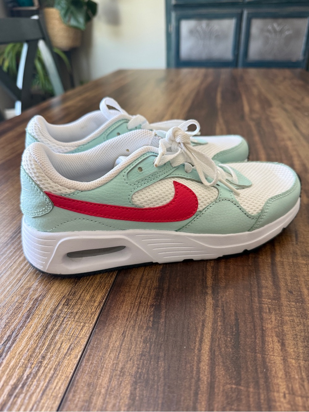 Nike Air Max Women’s